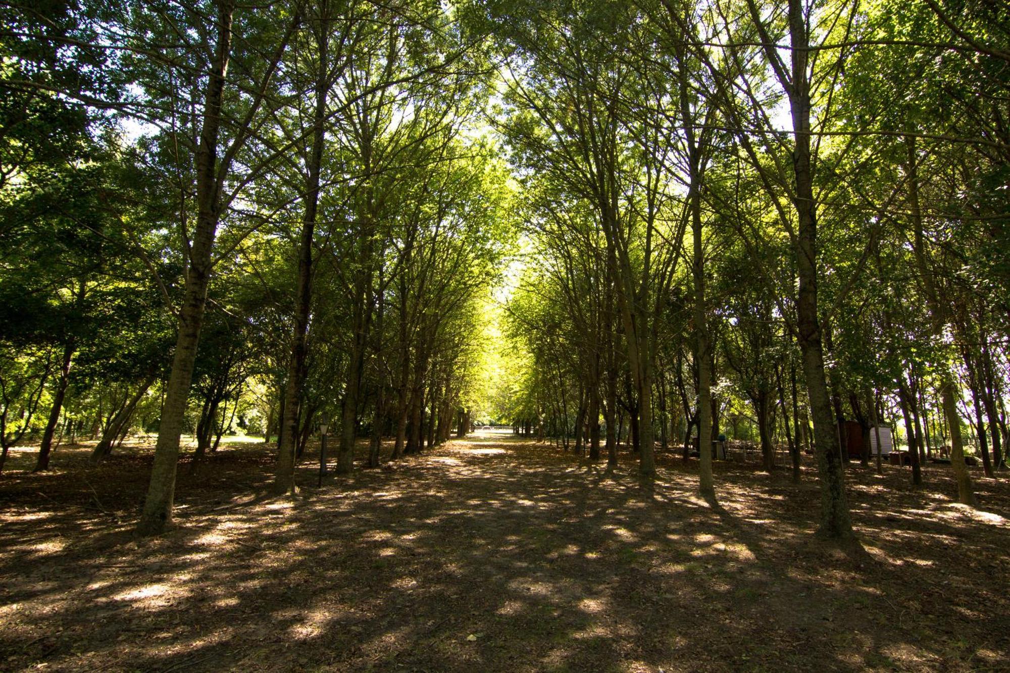 Villa Casolare La Quercia Correzzola Esterno foto